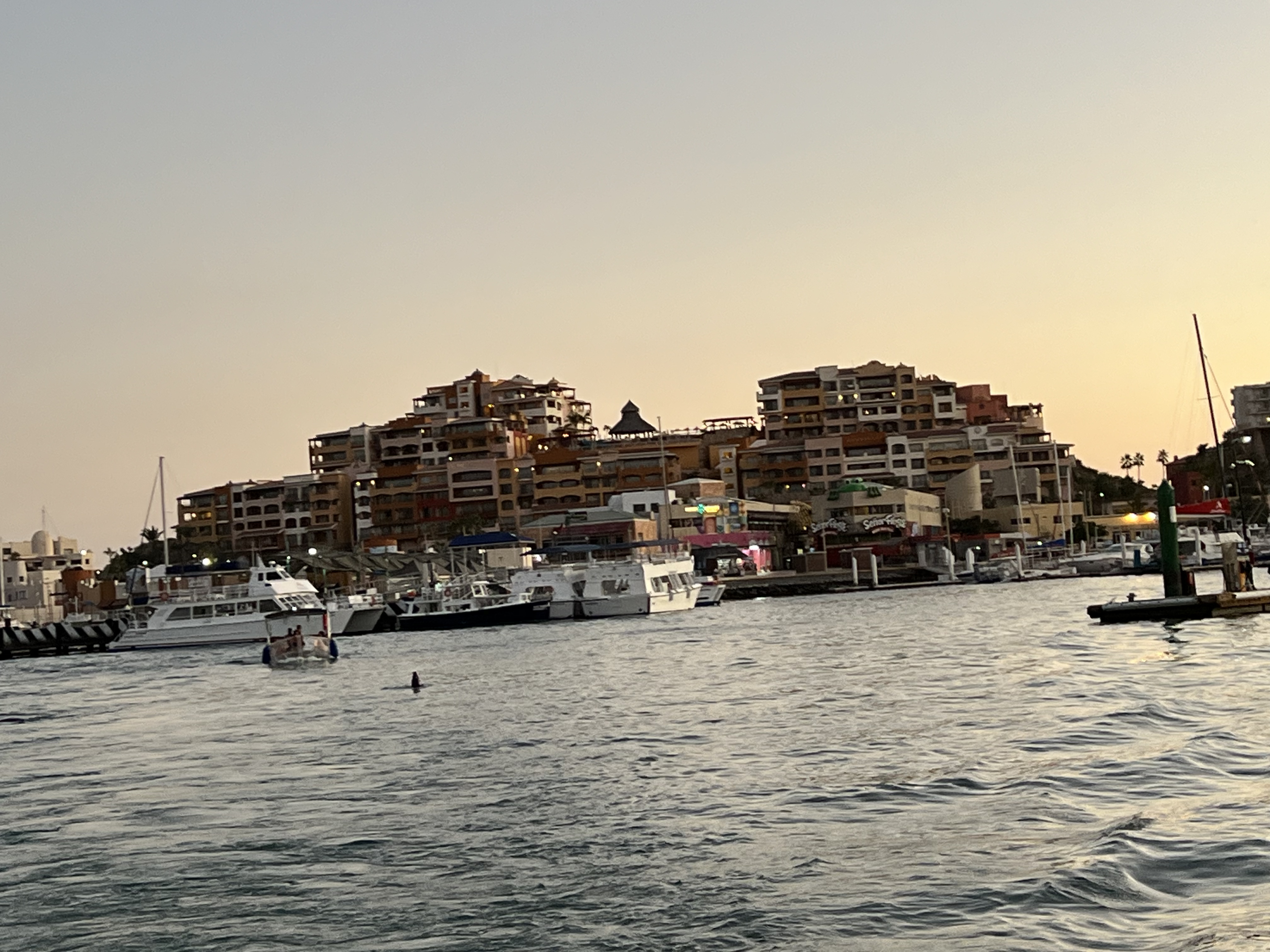 ./2024/13 - Cabo/IMG_4839.jpg